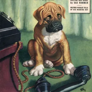 John Bull 1949 1940s UK dogs magazines