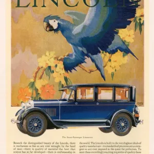 Lincoln 1928 1920s USA cc cars parrots birds