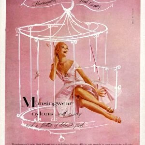 Munsingwear 1950s UK womens hosiery nylons stockings birds cages