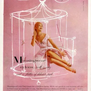 Munsingwear 1950s UK womens hosiery nylons stockings birds cages