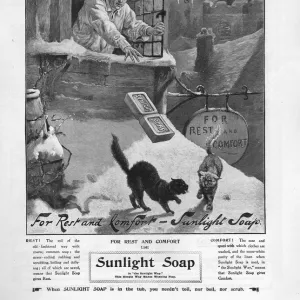 Pears 1899 1890s UK cc sunlight winter snow cats