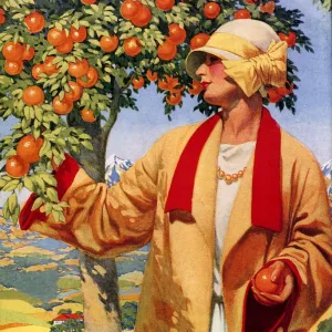 Picking Oranges 1923 1920s USA fruit woman womens hats