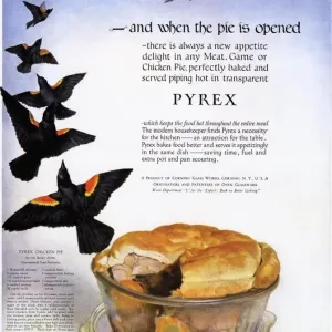 Pyrex 1920s USA pies four and twenty blackbirds