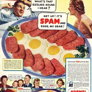 Spam 1960s USA Hormel meat tinned disgusting food breakfasts meals meals canned cans