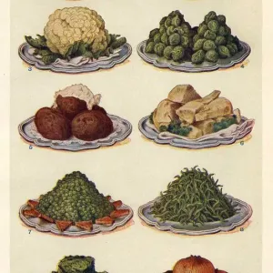Vegetables 1900s UK Isabella Beeton Mrs Beetons Book of Household Management cooking