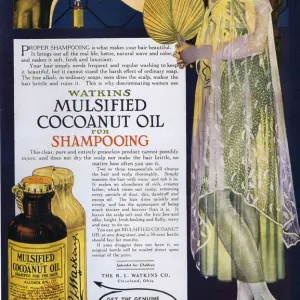 Watkins 1918 1910s USA shampoo