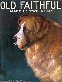 Images Dated 2003: 1910s USA old faithful dogs