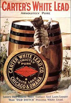 Images Dated 2003: 1910s USA paint carters lead