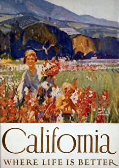 American Prints: 1920s USA california holidays tourism Warning - small image size
