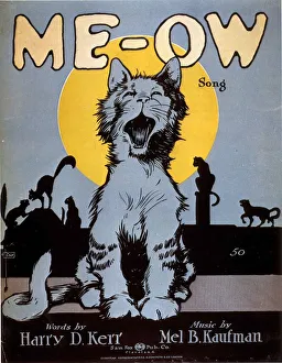 American Prints: 1920s USA cats me-ow meow