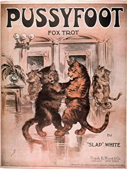 1920s USA cats pussyfoot fox trot
