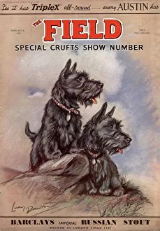 1930s UK dogs