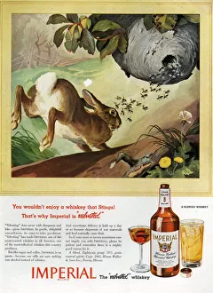 1940s,USA,Imperial ,Magazine Advert