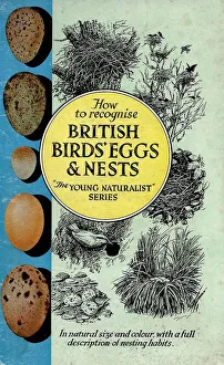 Itnt Prints: 1950s, UK, British Birds Eggs and Nests, Book Cover