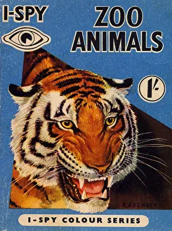 Advertising Archive Prints: 1950s UK I-Spy Book Cover
