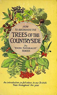 Books Prints: 1950s, UK, Trees of the Countryside, Book Cover