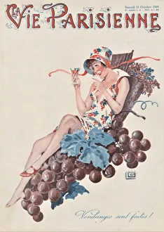 30587726