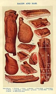 Nineteen Hundreds Collection: Bacon and Ham 1900s UK Isabella Beeton meat Mrs Beetons Book of Household Management