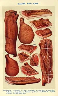 Books Prints: Bacon and Ham 1900s UK Isabella Beeton meat Mrs Beetons Book of Household Management
