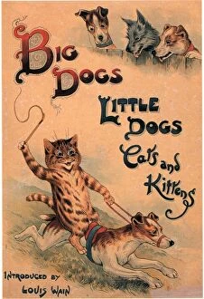 1910s Collection: Big Dogs Little Dogs Cats and Kittens 1910s UK cats dogs illustrations