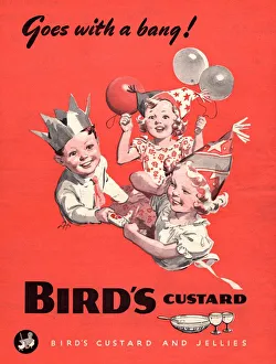 Birds 1930s UK custard birthdays party