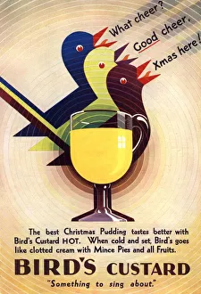 Birds Custard 1931 1930s UK