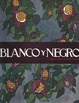 Spanish Artwork Collection: Blanco y Negro Spain cc magazines flowers plants
