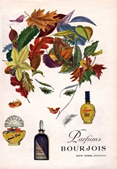 Womens Prints: Bourjois 1940s USA womens