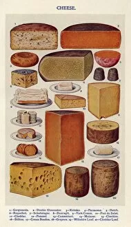 Nineteen Hundreds Collection: Cheese 1900s UK Isabella Beeton Mrs Beetons Book of Household Management cooking