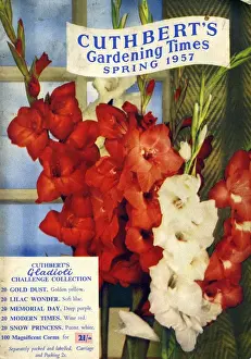 Cuthberts Gardening Times 1957 1950s UK Mr Cuthberts flowers seeds packets gardens