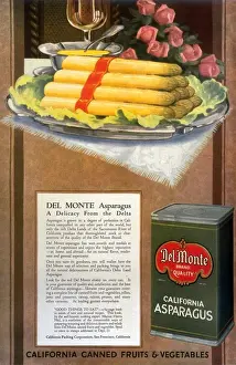 Nineteen Twenties Prints: Del Monte 1920s USA asparagus california vegetables