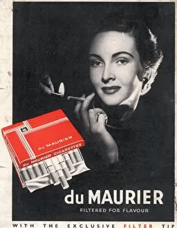 Advertise Collection: Du Maurier 1950s UK cigarettes smoking glamour
