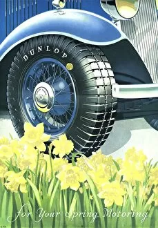 Images Dated 21st April 2005: Dunlop 1934 1930s UK tyres daffodils