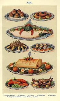 Images Dated 19th June 2009: Fish 1900s UK Isabella Beeton Mrs Beetons Book of Household Management cooking