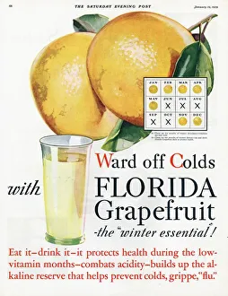 Florida Grapefruit 1920s USA colds flu fruit