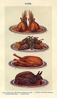 1900s Prints: Game 1900s UK Isabella Beeton meat Mrs Beetons Book of Household Management cooking