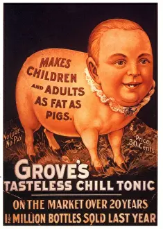 1800s Prints: Groves 1890s USA humour groves tonic pigs fat diets