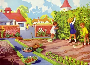 Books Prints: Infant School Illustrations 1950s UK gardens vegetables patches Enid Blyton