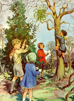 Infant School Illustrations 1950s UK playing picking berries climbing trees Enid Blyton