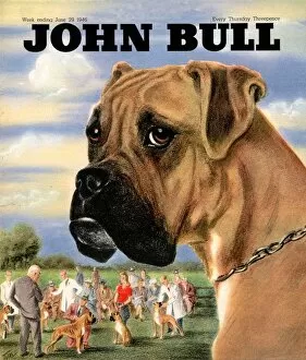 Nineteen Forties Collection: John Bull 1946 1940s UK dogs shows magazines