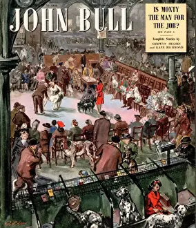 Images Dated 2003: John Bull 1948 1940s UK dogs john bull crufts shows magazines