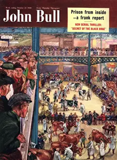 Images Dated 2003: John Bull 1950 1950s UK dogs crufts dog shows magazines