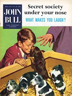 John Bull 1950s UK dogs puppies pets pets shops magazines pets puppys