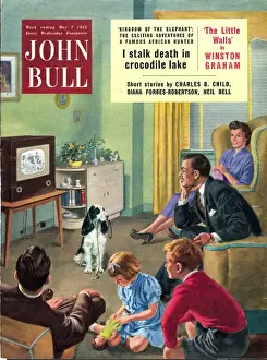 John Bull 1950s UK watching televisions dogs taking the dog for a walk walking