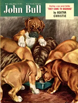 John Bull 1951 1950s UK dogs magazines