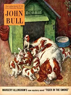 1950s Prints: John Bull 1952 1950s UK dogs puppies pets magazines puppys