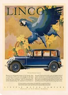 1920's Collection: Lincoln 1928 1920s USA cc cars parrots birds