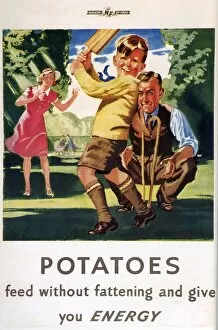 Posters Collection: Ministry of Food 1940s UK potatoes cricket families