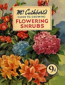 Images Dated 24th August 2009: Mr Cuthberts Guide To Flowering 1953 1950s UK mcitnt flowers seeds flowers Cuthberts