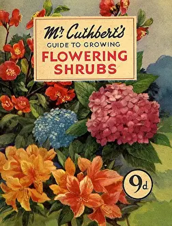 Mr Cuthberts Guide To Flowering 1953 1950s UK mcitnt flowers seeds flowers Cuthberts
